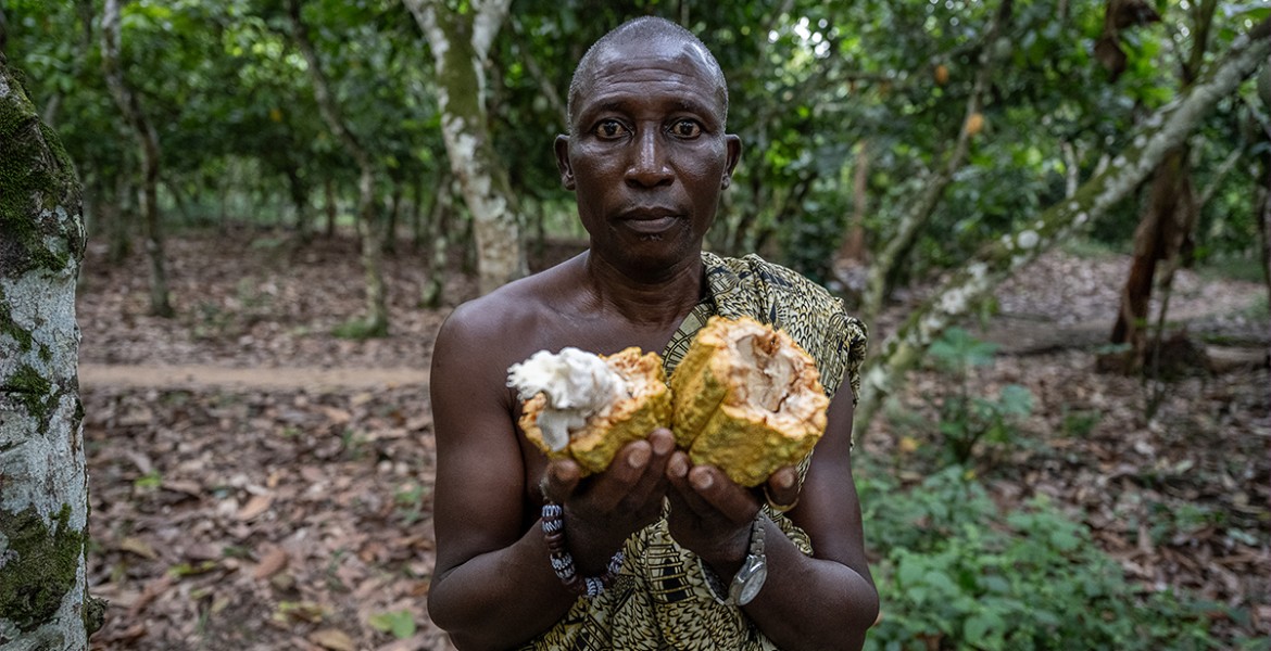 La Route Du Cacao